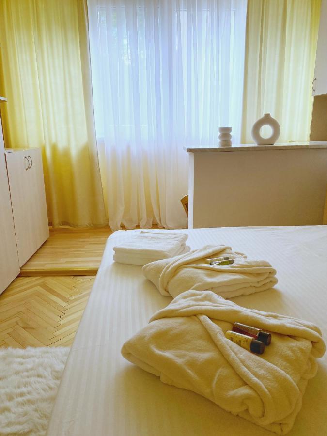 Timisoara Central Apartament Apartment ภายนอก รูปภาพ