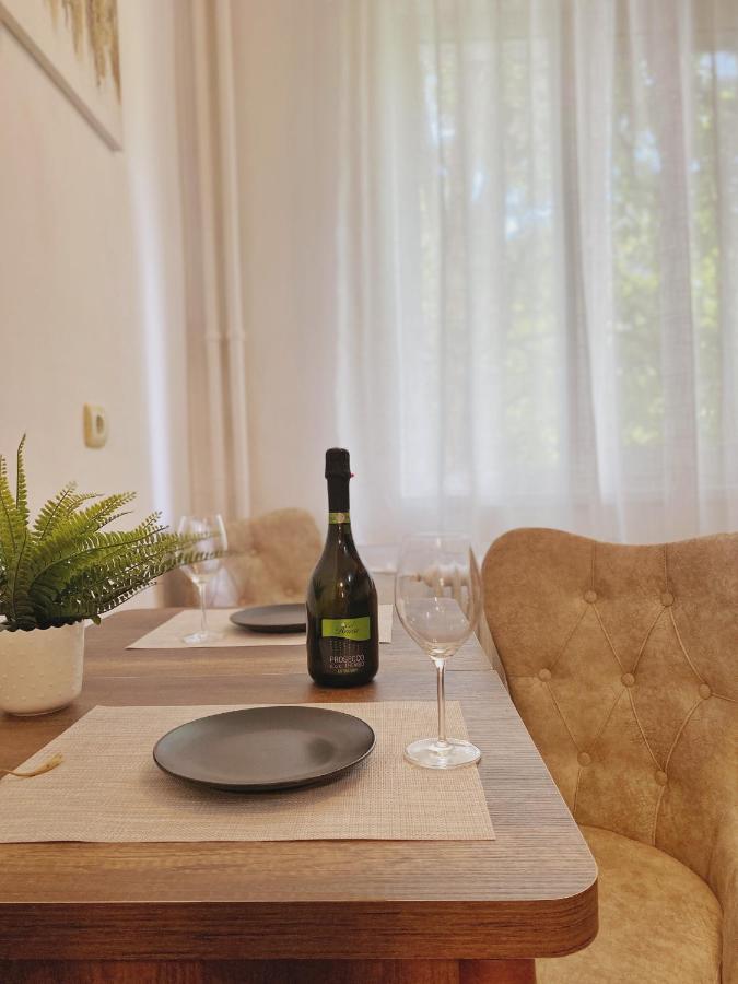 Timisoara Central Apartament Apartment ภายนอก รูปภาพ
