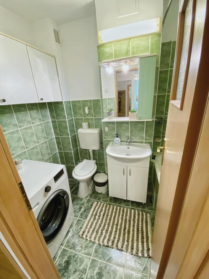 Timisoara Central Apartament Apartment ภายนอก รูปภาพ