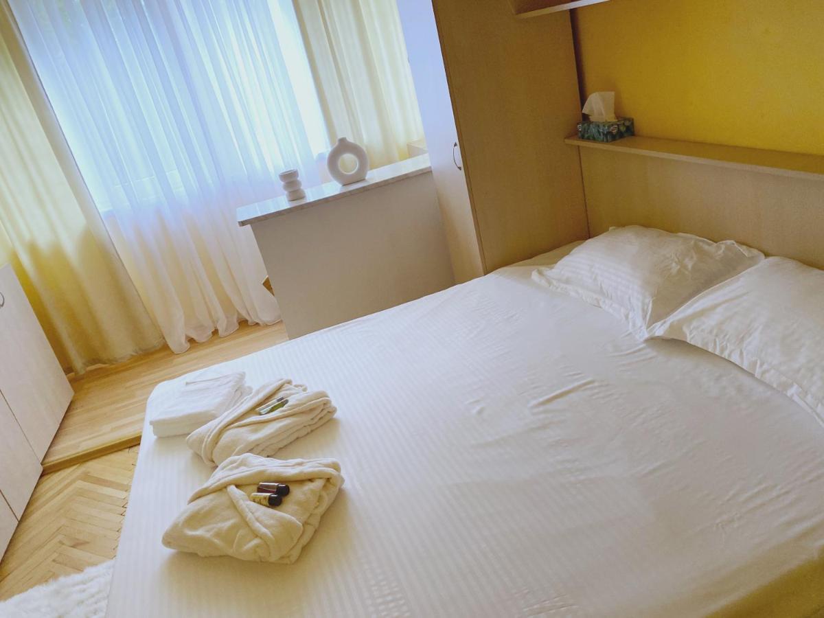 Timisoara Central Apartament Apartment ภายนอก รูปภาพ